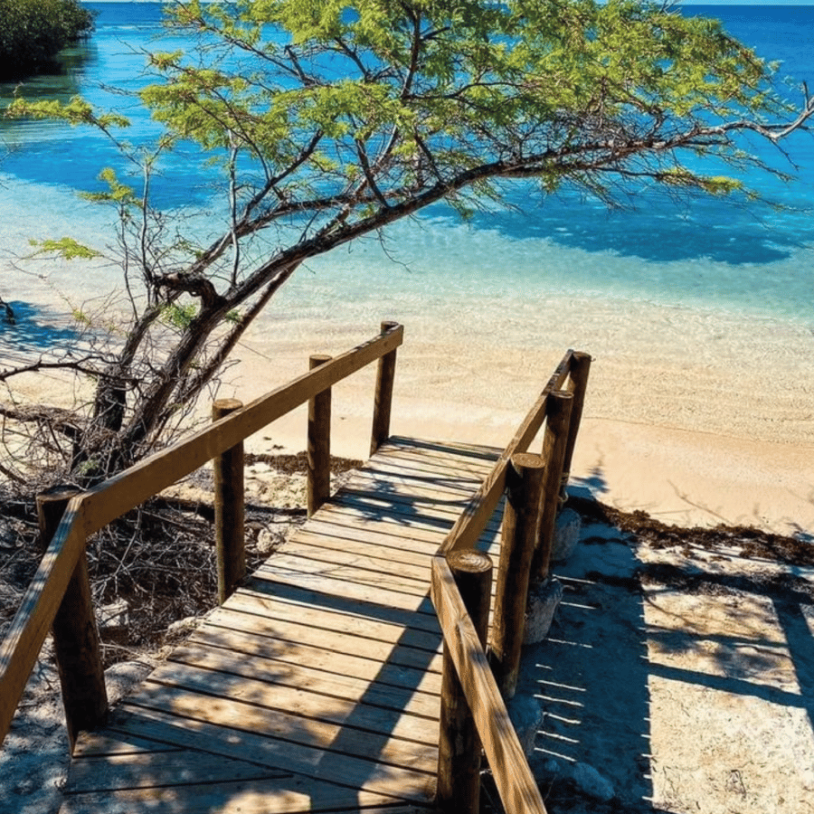 Puerto Rico: 4-in-1 Waterfalls, Beaches, & Hikes Experience