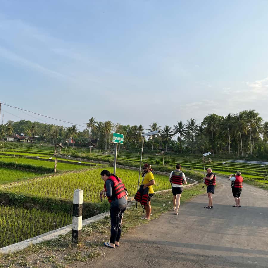 Yogyakarta: Jomblang Pindul Cave Guided Adventure GetYourGuide