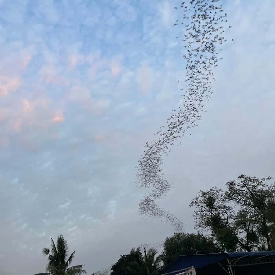 Colagem de mídia