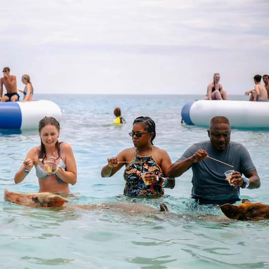 Nassau: Swimming Pigs and Snorkeling Boat Tour with Drinks