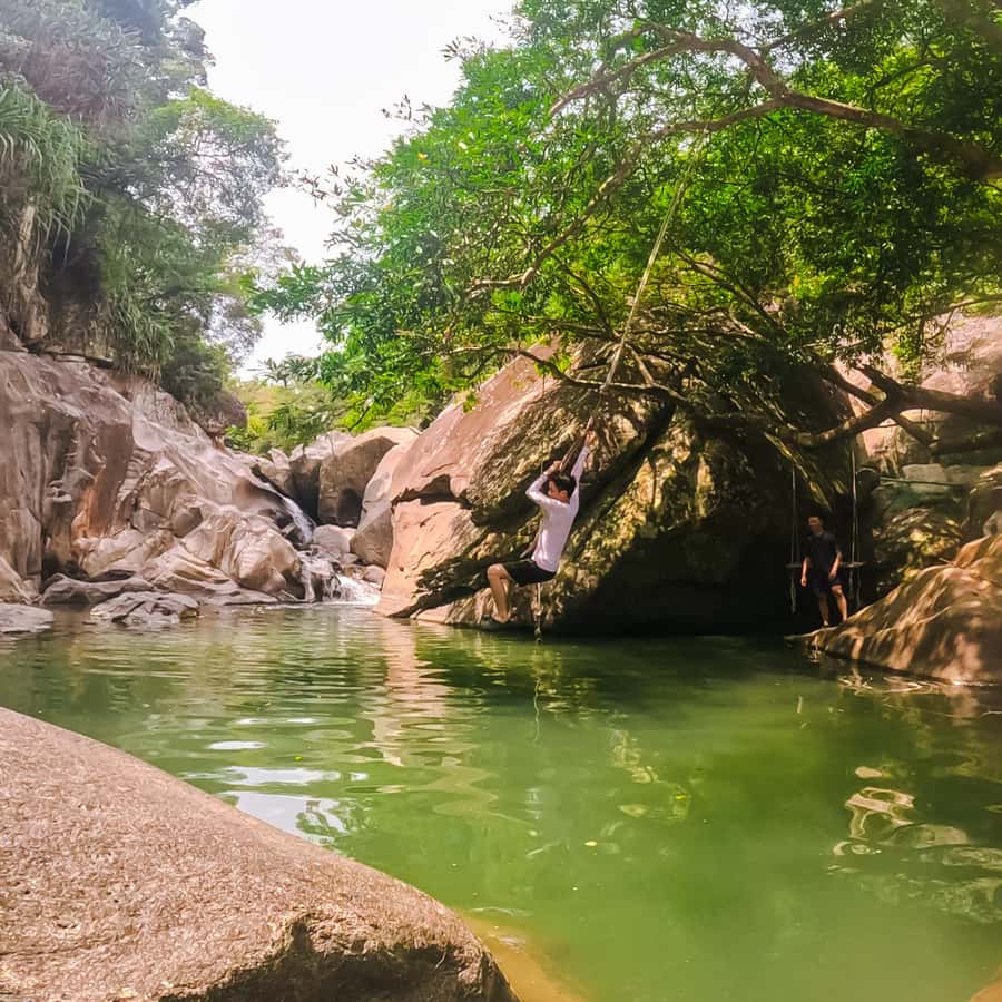 Galería de fotos para redes