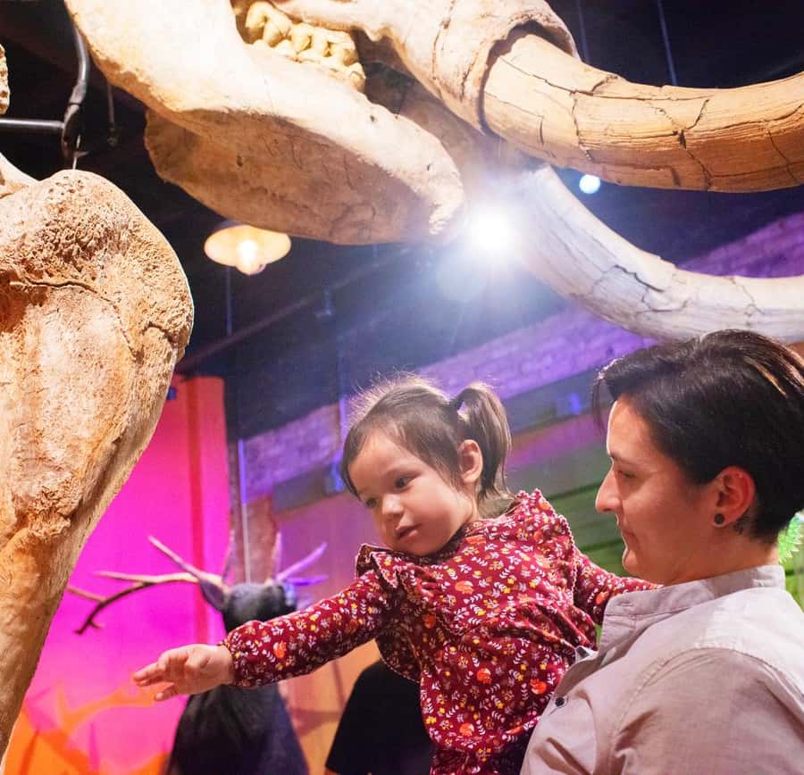 San Antonio: Ripley's Believe It or Not! 4 Attraction Ticket
