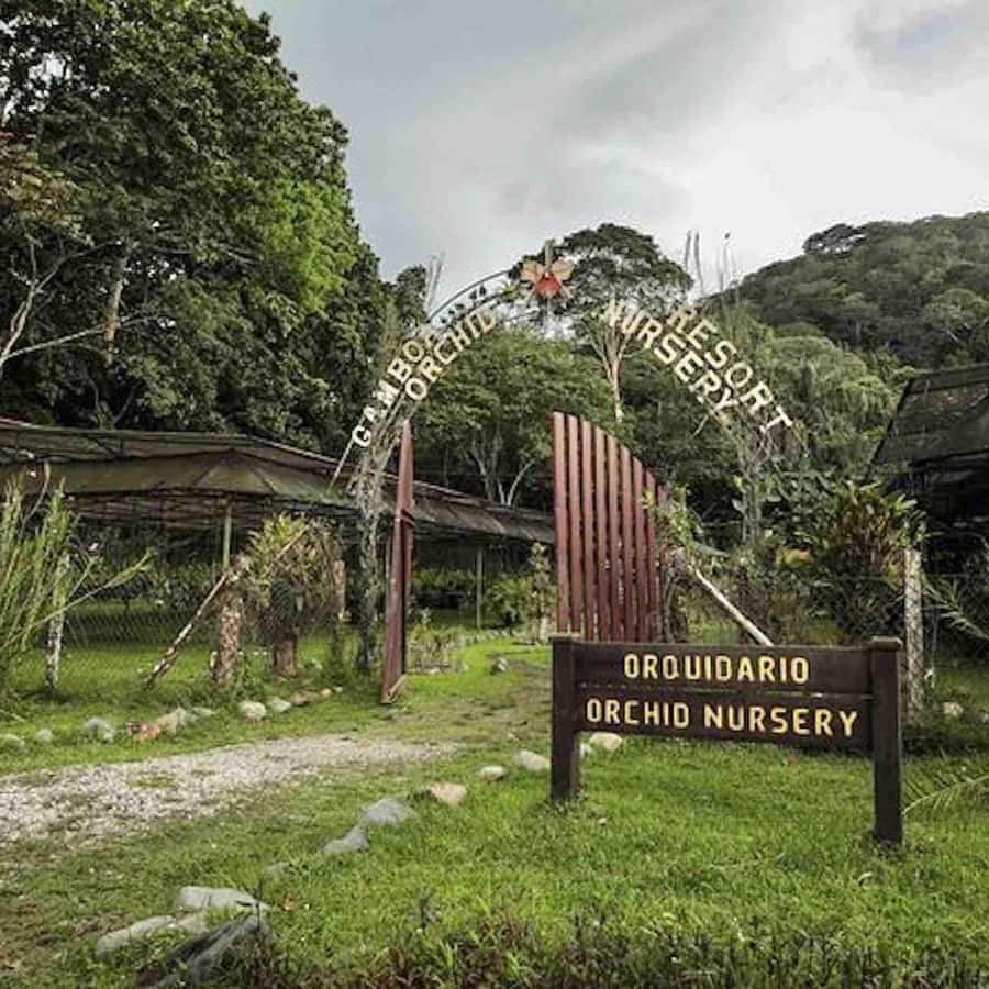 Colagem de mídia