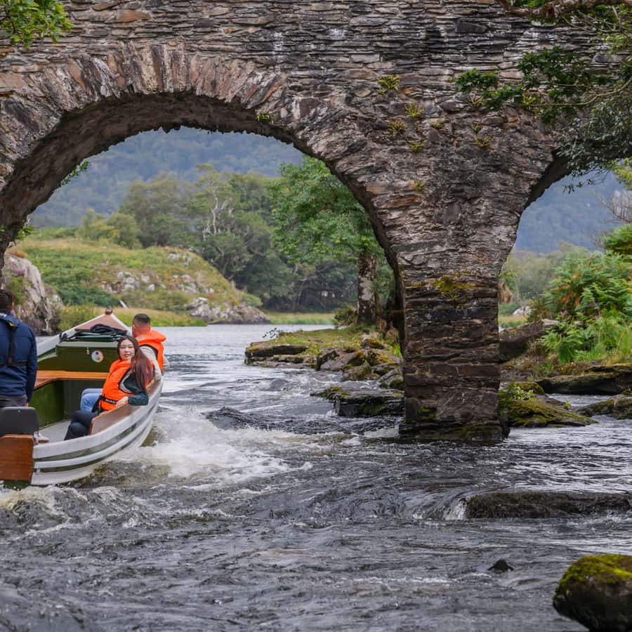 Galería de fotos para redes