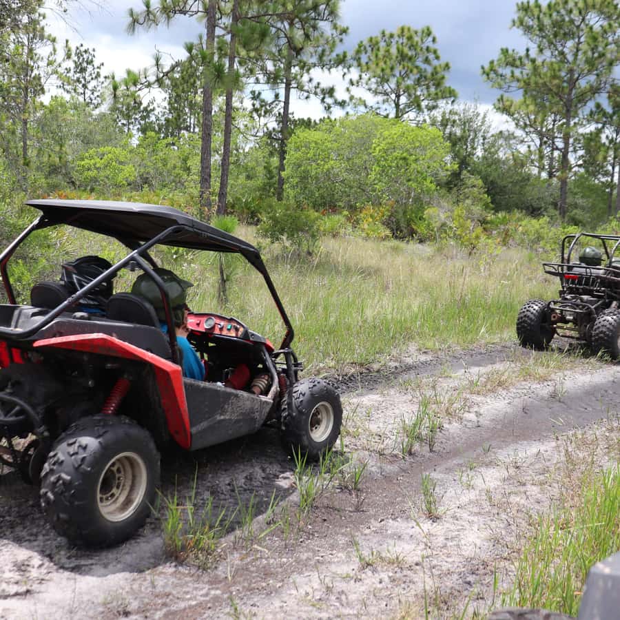 Houston: Dune Buggy Adventures