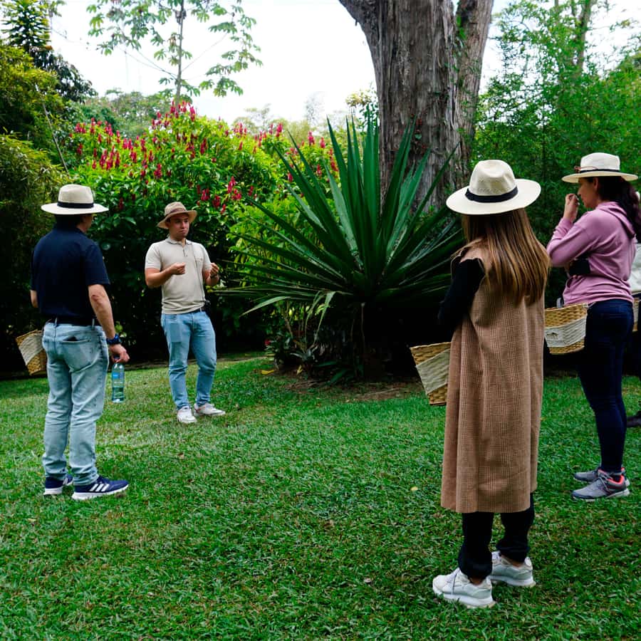 Colagem de mídia