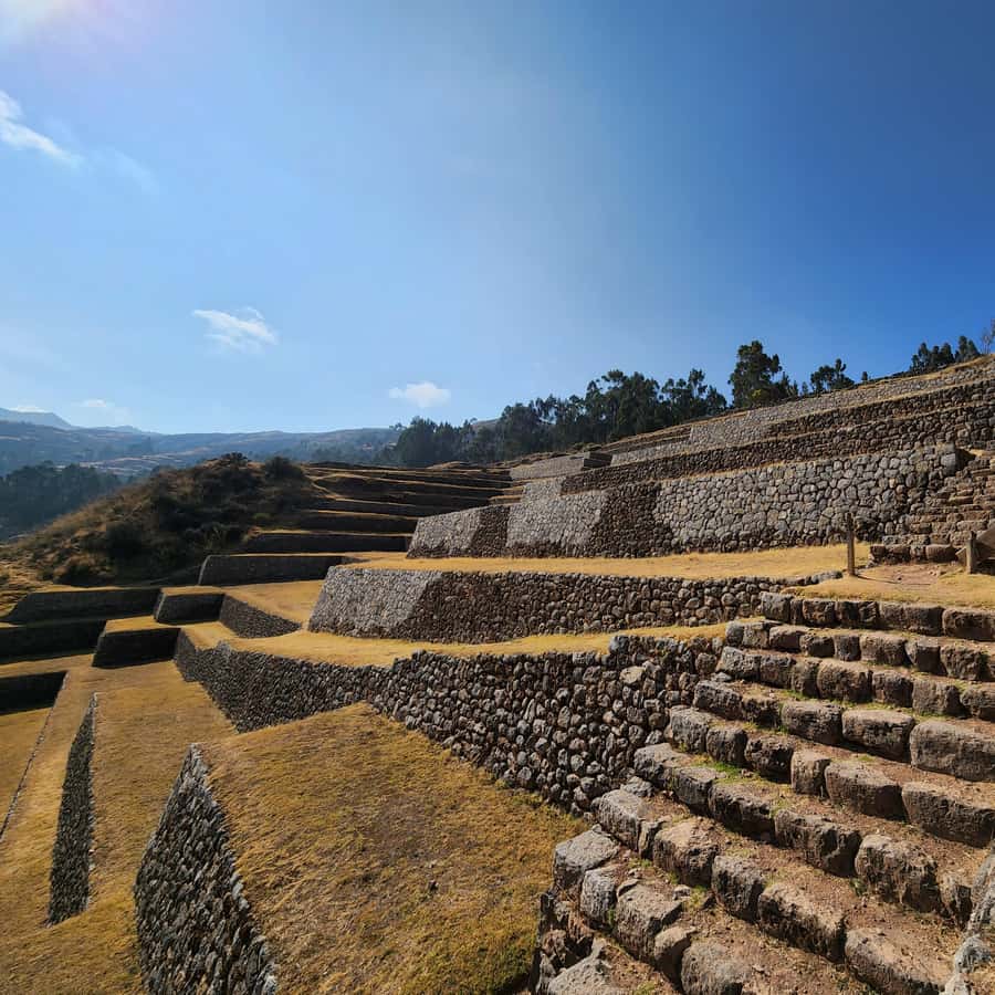 Galería de fotos para redes