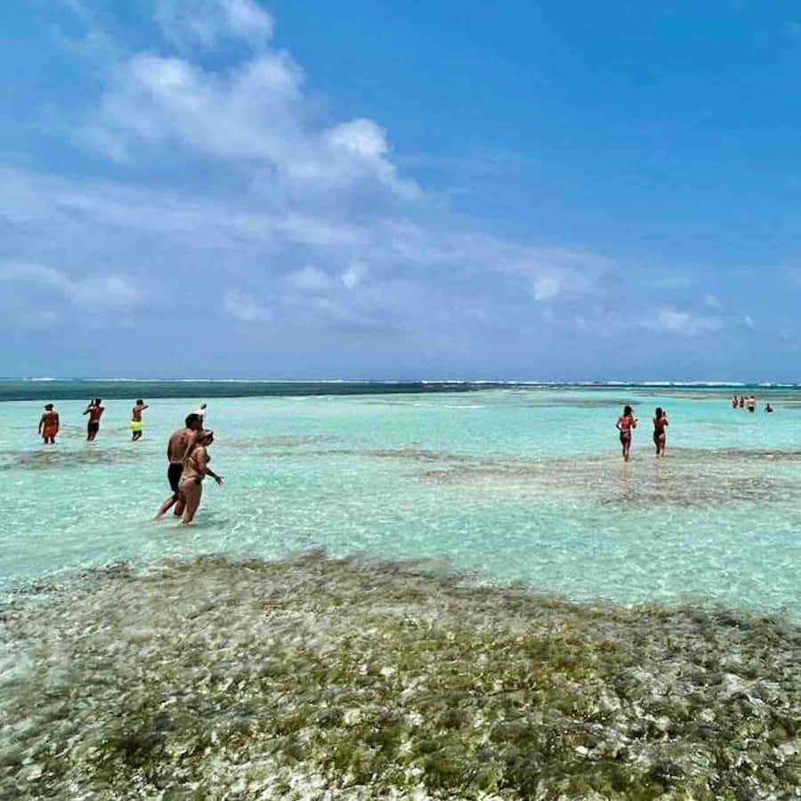 Galería de fotos para redes