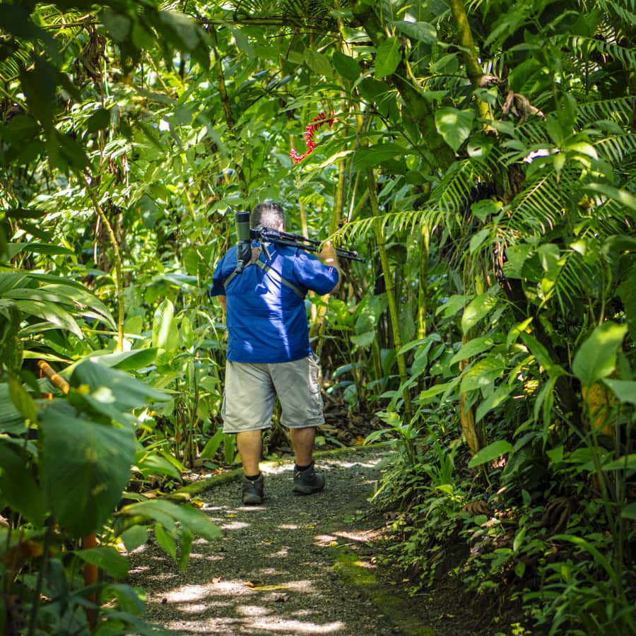 La Fortuna: Sloth Tour in Arenal Volcano Park & Local Snack