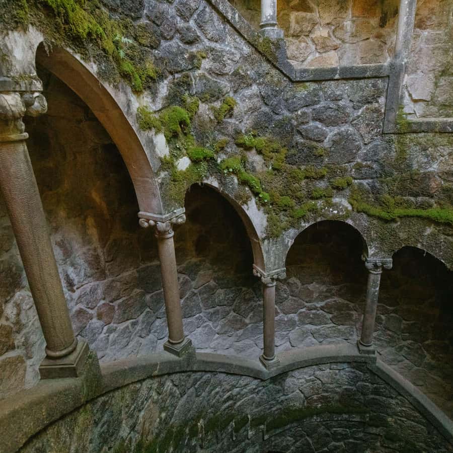 Galerie média