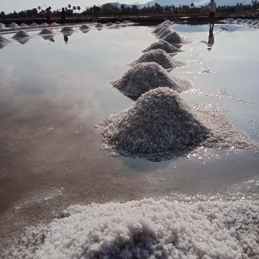 Colagem de mídia
