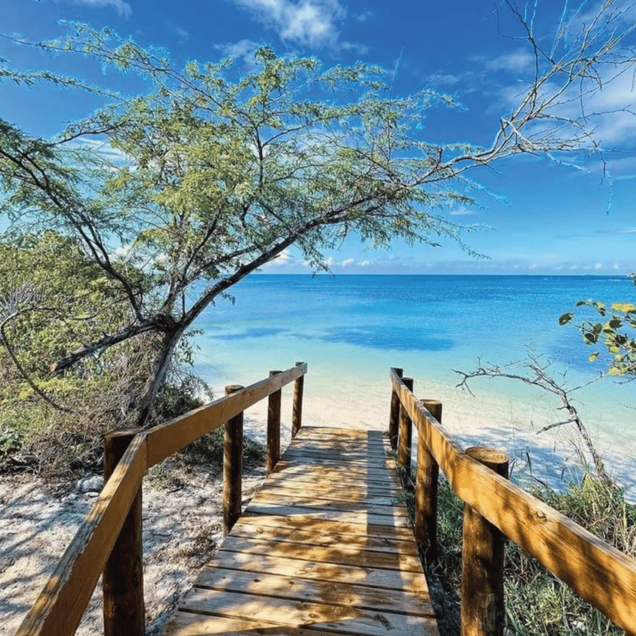 Puerto Rico: 4-in-1 Waterfalls, Beaches, & Hikes Experience