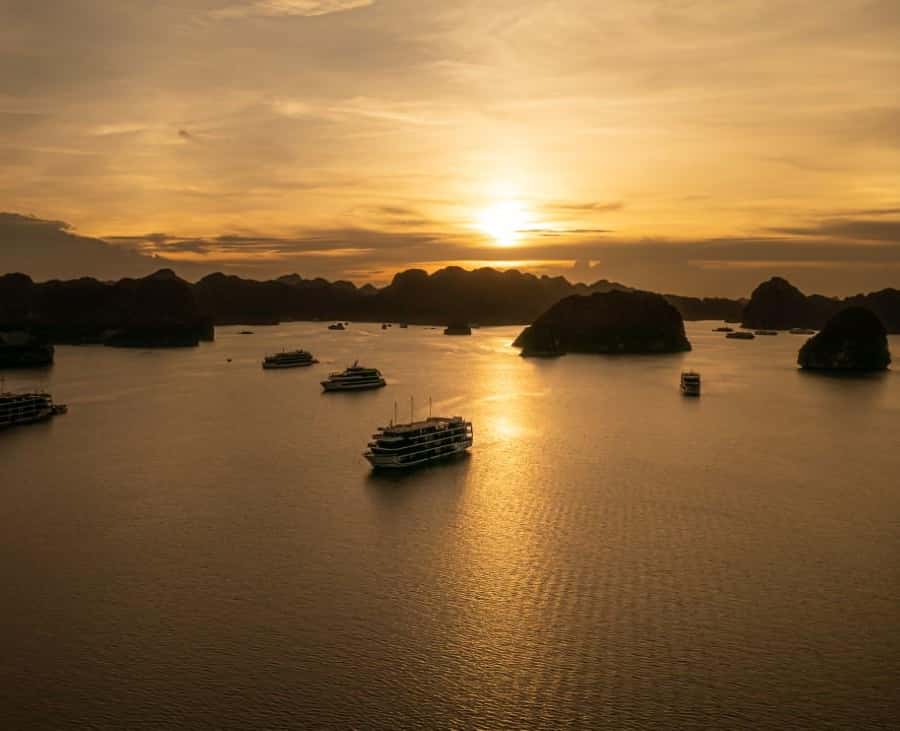 Galería de fotos para redes