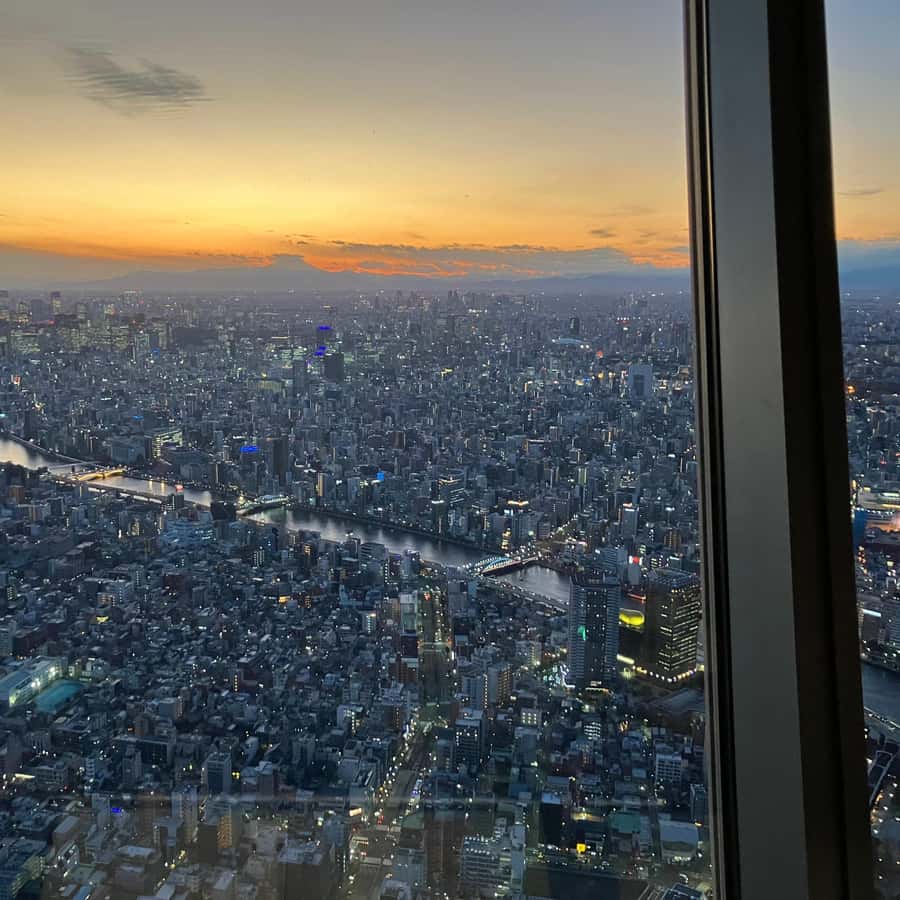 メディア コラージュ