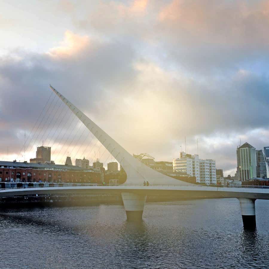 BUENOS AIRES: NIGHT TOUR LIGHTS OF THE CITY + 1 Drink at RoofTop Palermo |  GetYourGuide