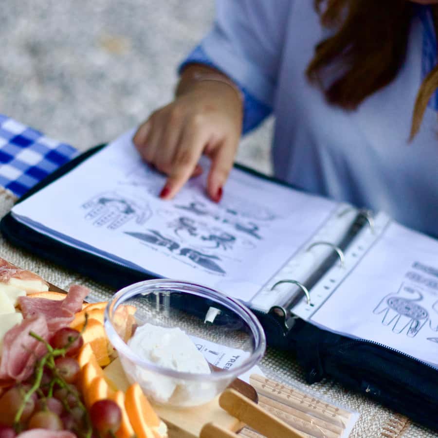 Santo Domingo: Henna Tattoos and Picnic in the Park