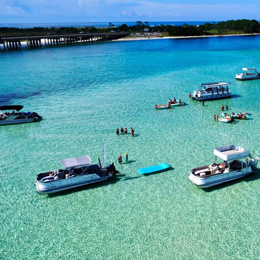 Destino: Excursão pública de 3 horas à Ilha Crab e ao porto | GetYourGuide, image size:900x900