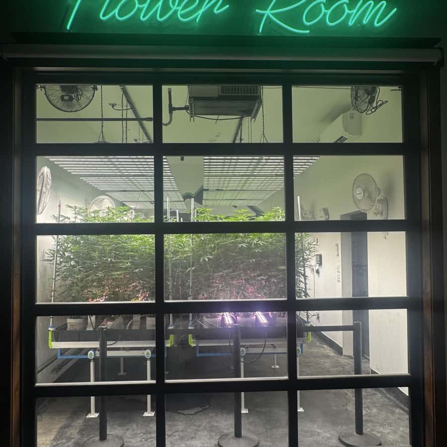 Smoky Mountain Cannabis THC Dispensary Tour & Jeep Adventure