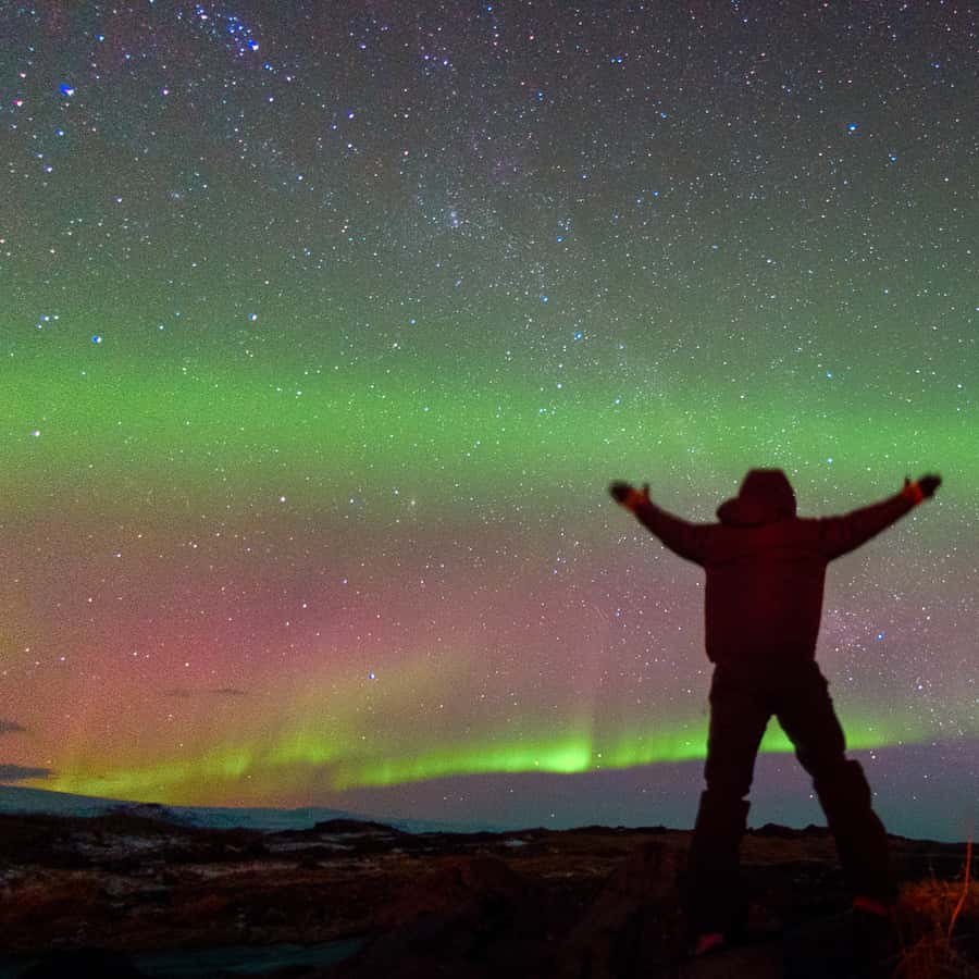 From Reykjavik: Northern Lights Tour with Lifetime Guarantee
