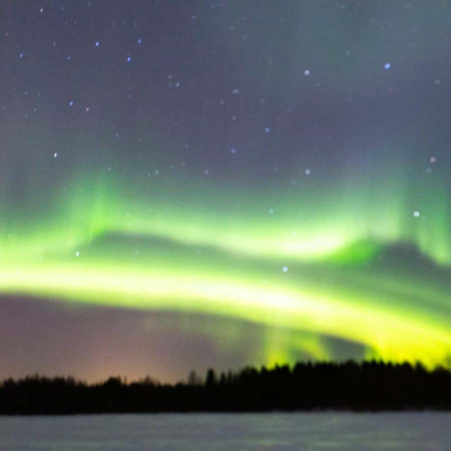 Depuis Reykjavik : Visite privée des aurores boréales | GetYourGuide, image size:900x900