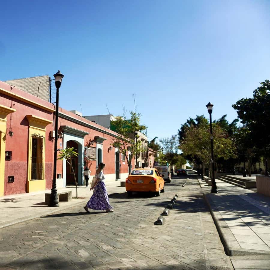 Galería de fotos para redes