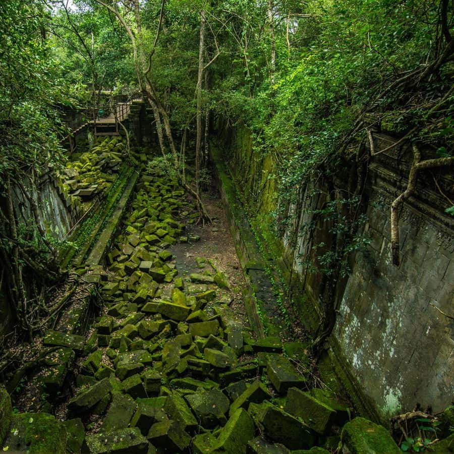 Colagem de mídia