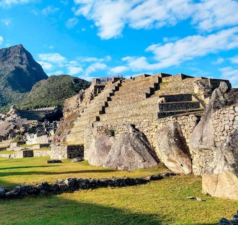 Galería de fotos para redes