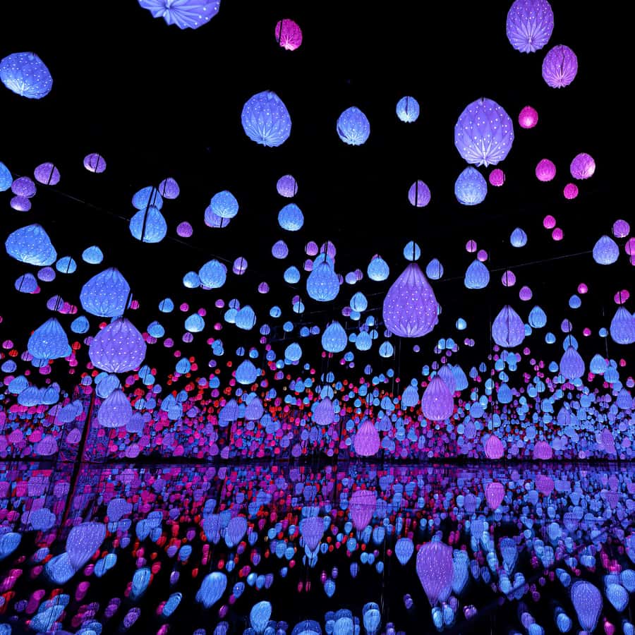 ARTE MUSEUM LAS VEGAS - Immersive Art Exhibition
