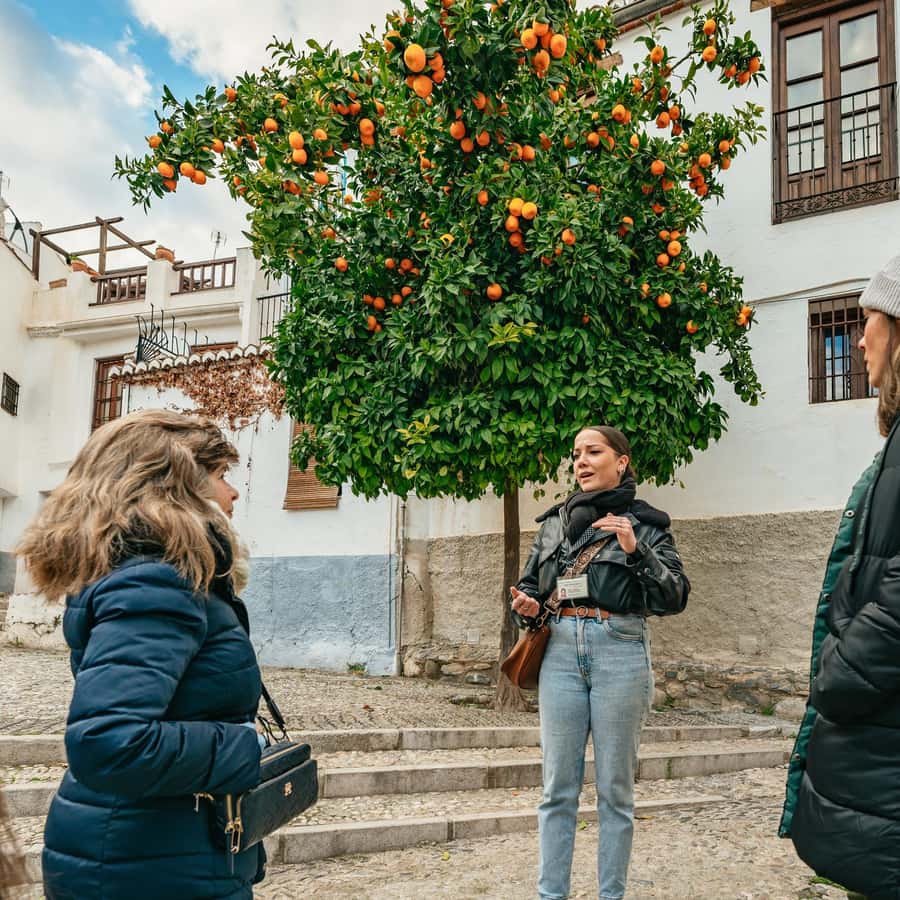 Colagem de mídia