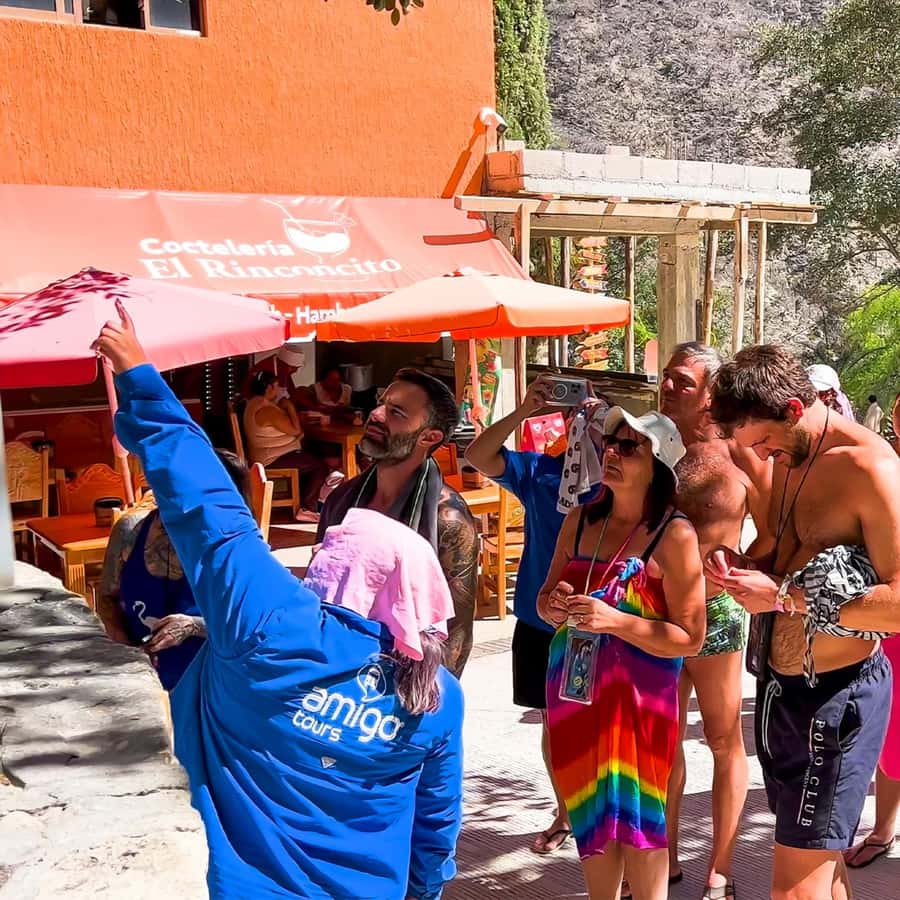Galería de fotos para redes