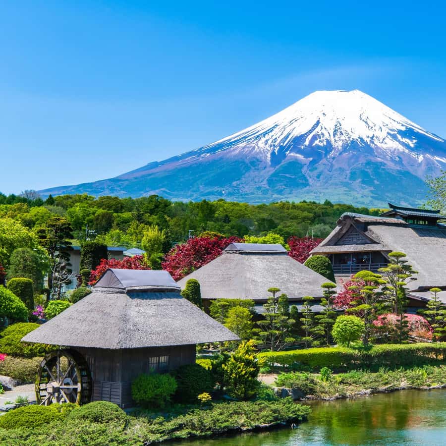 【御利益】富士山登頂　山 初期 スーパーレア PSA8 御利益】富士山登頂 山 初期 スーパーレア PSA8 - メルカリ