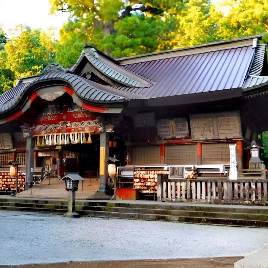 メディア コラージュ