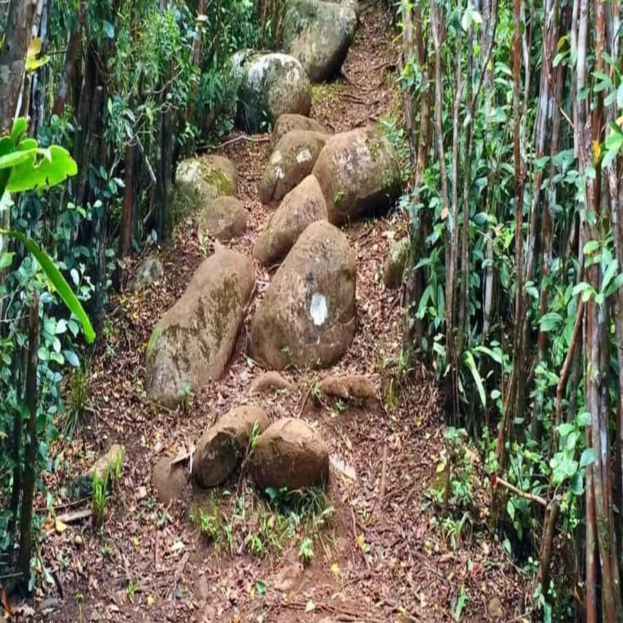 피톤 드 라 쁘띠 리비에르 누아르 하이킹 | GetYourGuide