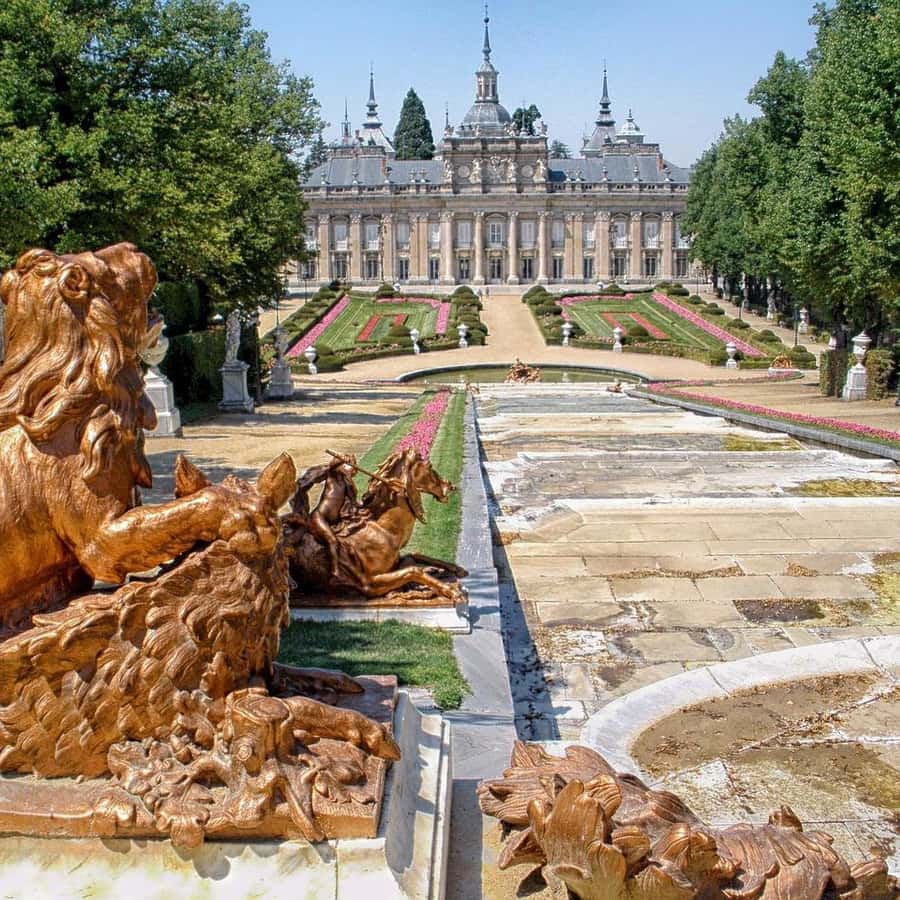 Galería de fotos para redes