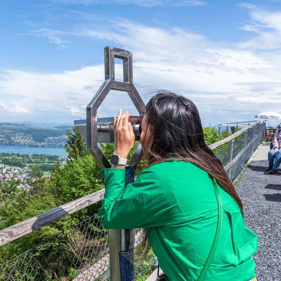 Galería de fotos para redes