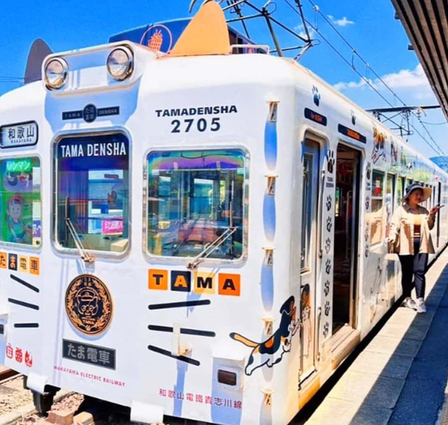 Osaka: Wakayama Cat Train, Seafood market, Hot Springs Tour