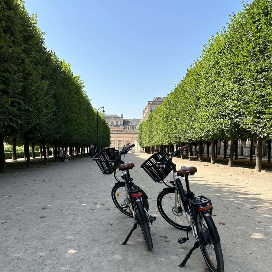 Onebike: Electric Bike Rental in the in the heart the Paris
