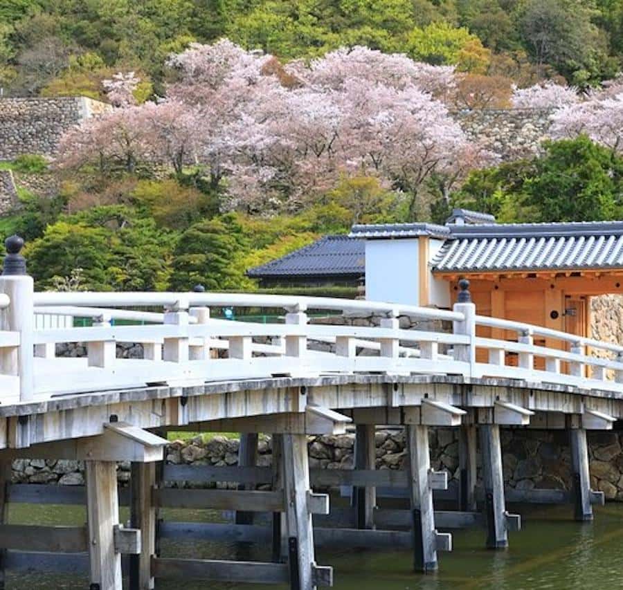 皇居東御苑を英語で説明 Self-Guidebook 英語 皇居 ガイドブック 皇居