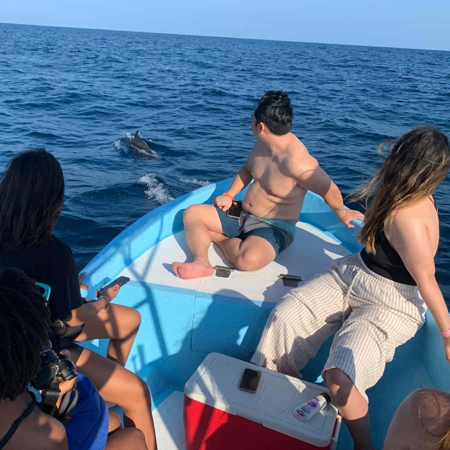 Galería de fotos para redes