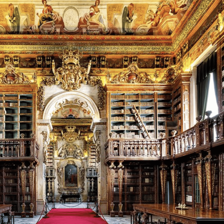 Galerie média