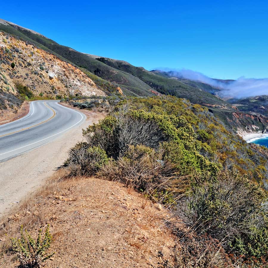 Big Sur: Sightseeing Tour with 4 to 5 Stops