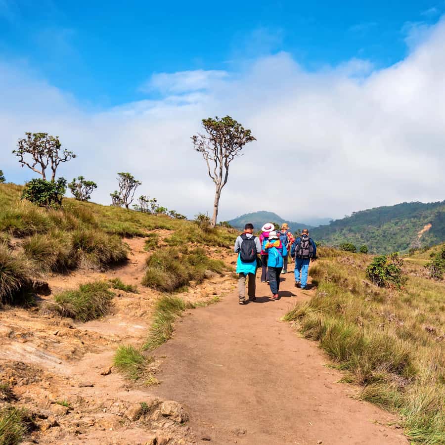Visite as planícies de Horton e Nuwara Eliya saindo de Ella | GetYourGuide, image size:900x900