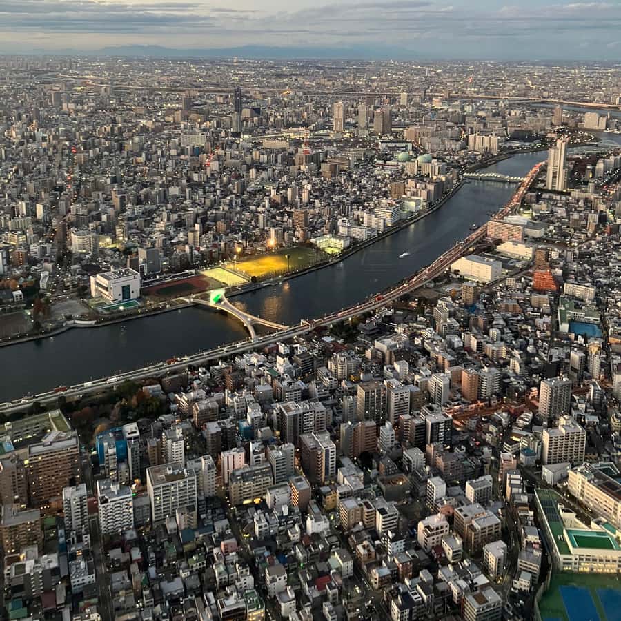 メディア コラージュ
