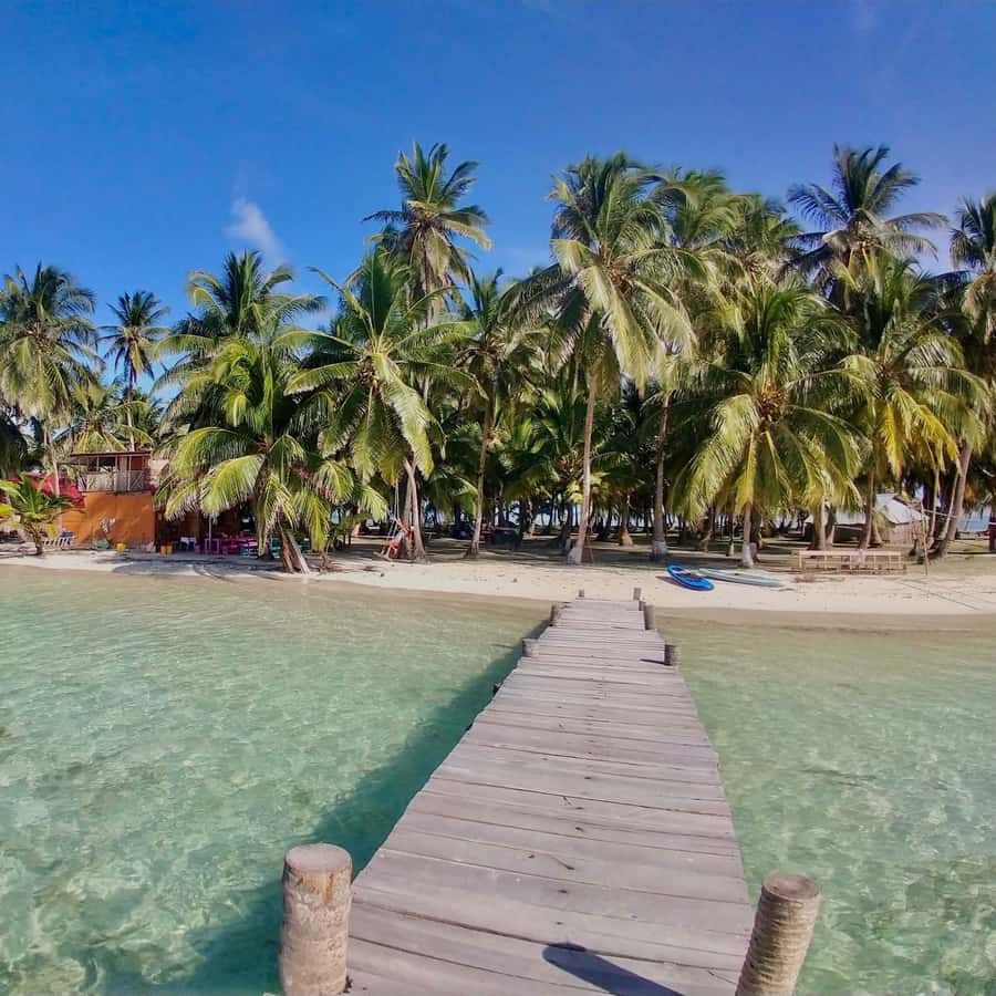 Galería de fotos para redes