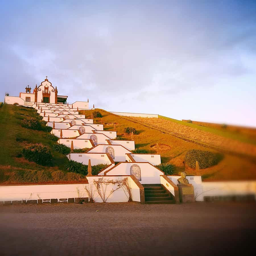 Colagem de mídia