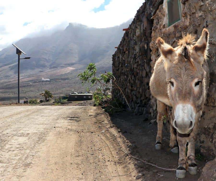 Galería de fotos para redes