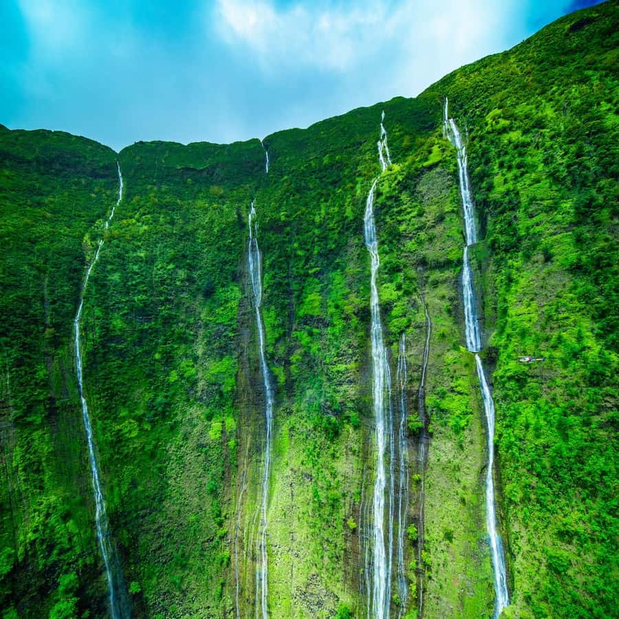 Big Island Day Tour : vulkanen, watervallen, bezienswaardigheden 2026 -  Hawaï (het Grote Eiland), image size:900x900