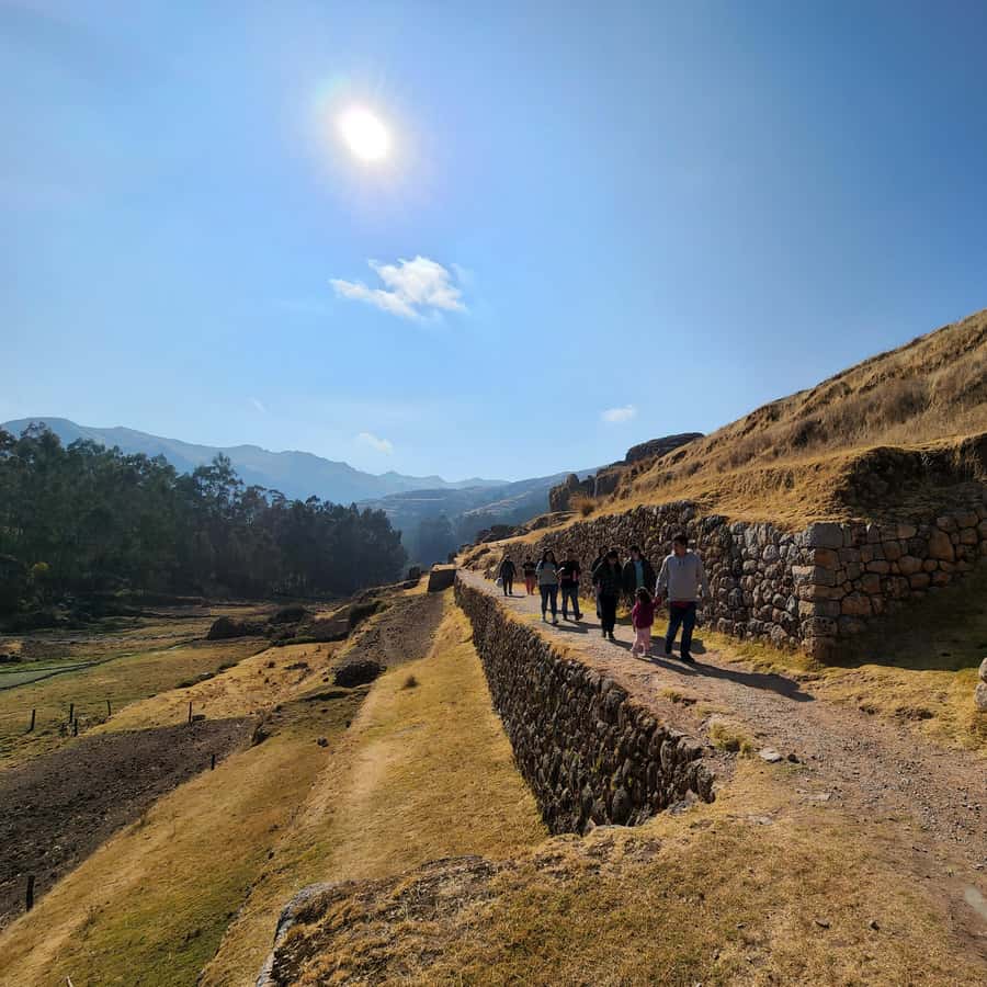 Galería de fotos para redes