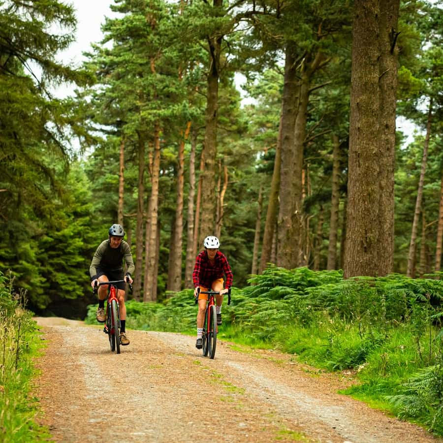 Gravel Bike Local Mtb Trails Gravel Bike Ride Dublin GetYourGuide