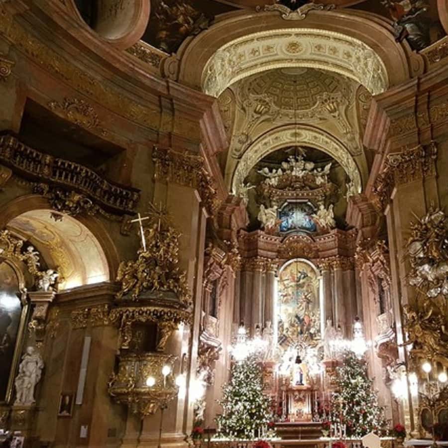 Galería de fotos para redes